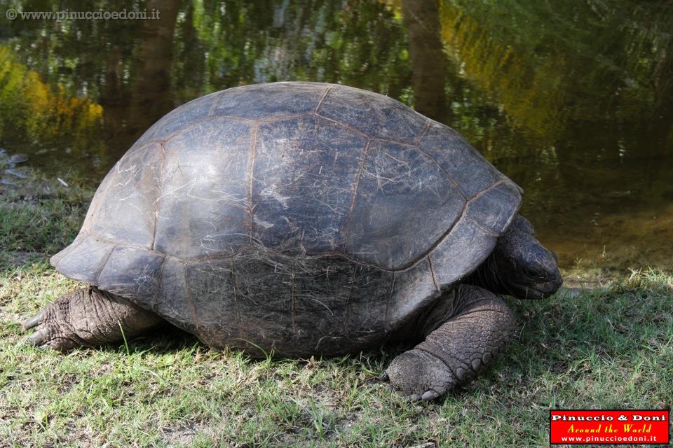 SEYCHELLES - 248.jpg